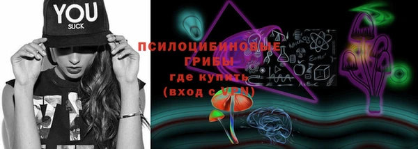 гидропоника Горнозаводск