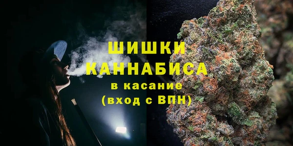 прущая мука Горняк