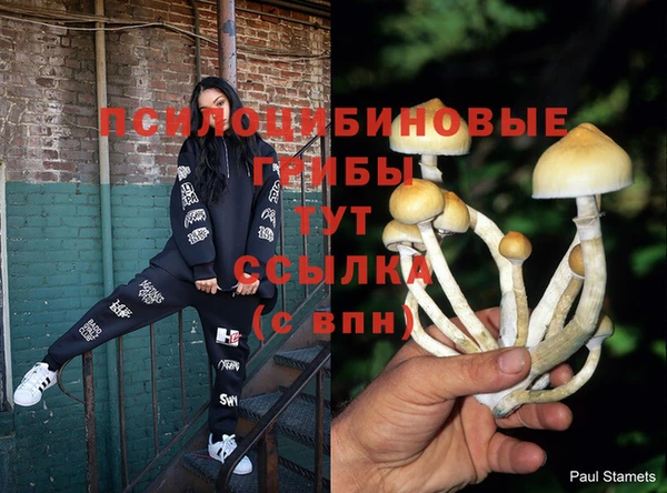 гидропоника Горнозаводск