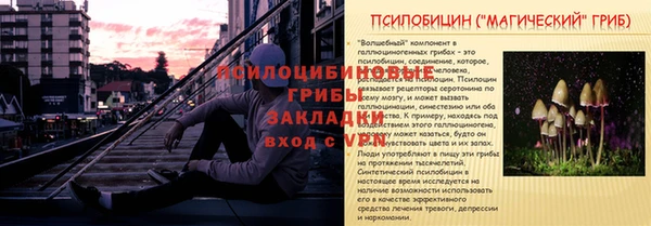 гидропоника Горнозаводск