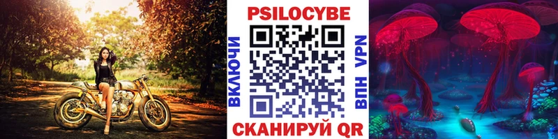 Купить  Шилка  Псилоцибиновые грибы ЛСД 